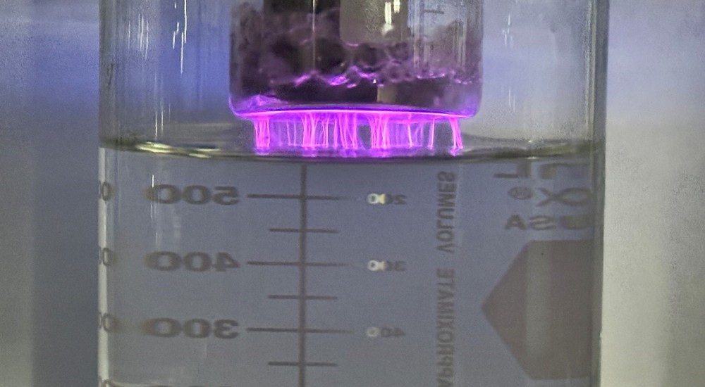 USO DE AGUA ACTIVADA POR PLASMA EN LA PRODUCCIÓN VEGETAL