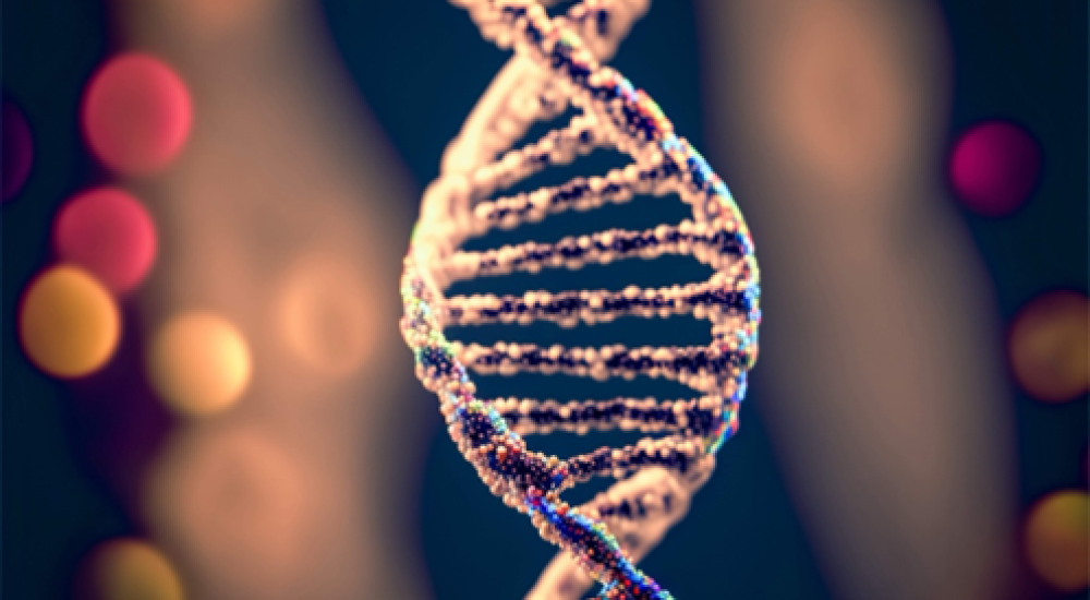 Superando la adversidad… en un genoma bacteriano minimizado